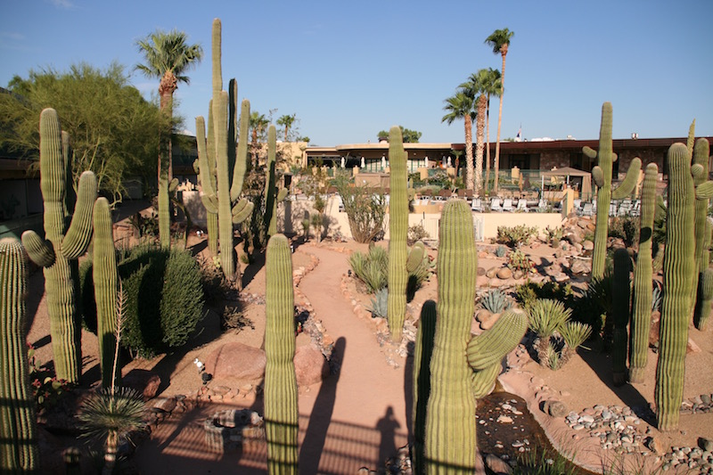 Arizona | August, 2008